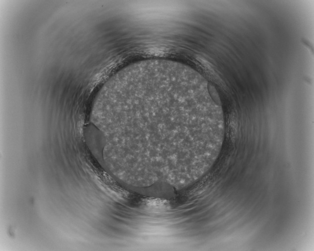 X0000099320500200805301219