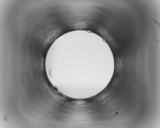 X0000099320501200805301219