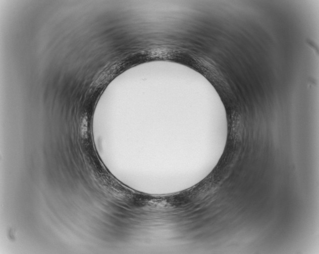 X0000099320502200805301219