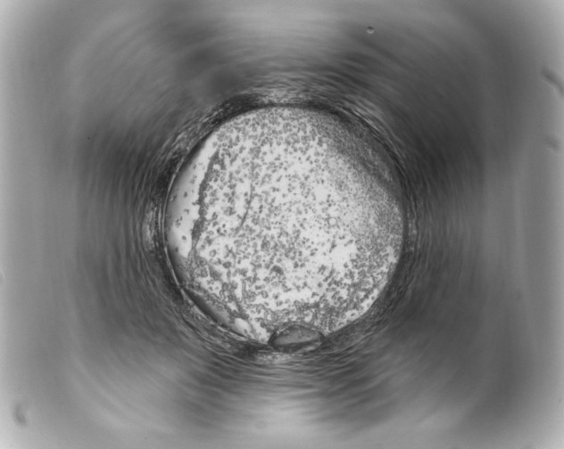 X0000099320503200805301219