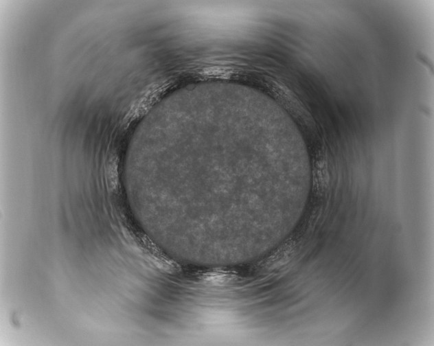X0000099320504200805301218