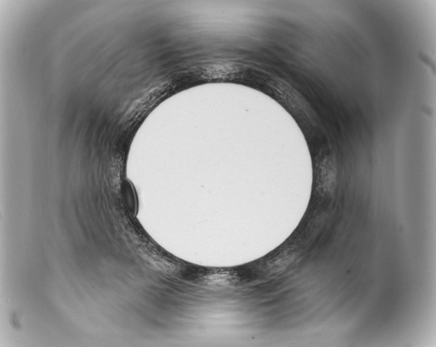 X0000099320505200805301218