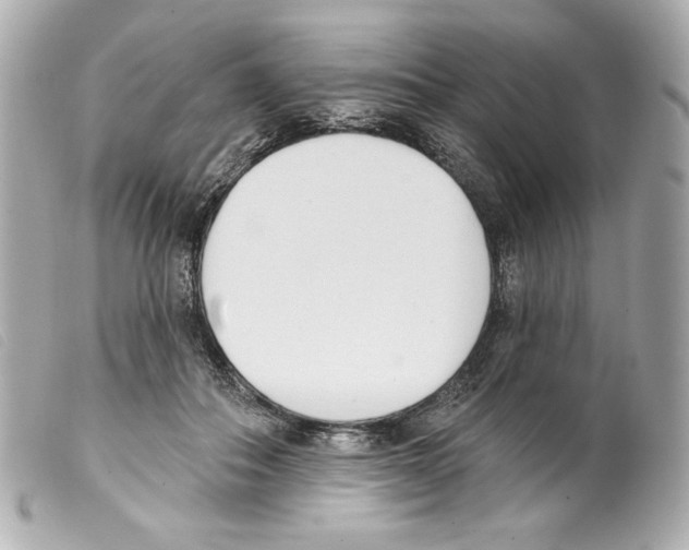 X0000099320506200805301218