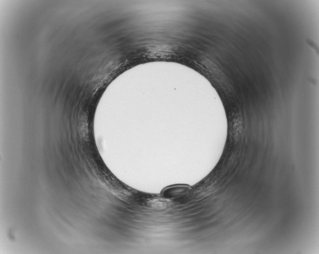 X0000099320508200805301218