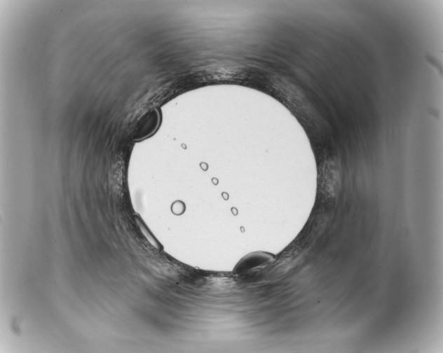 X0000099320509200805301218