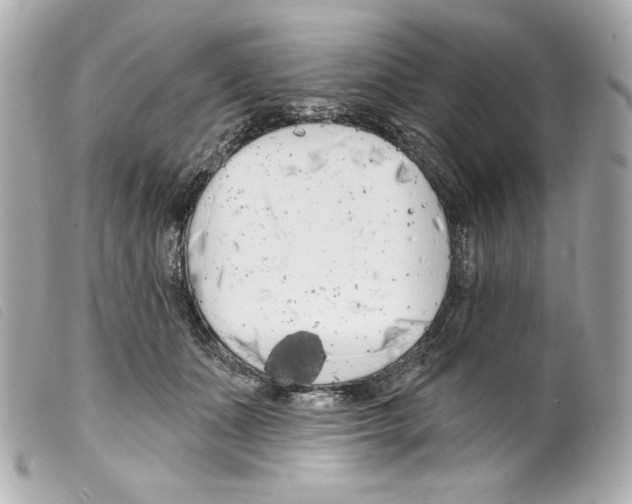 X0000099320511200805301218