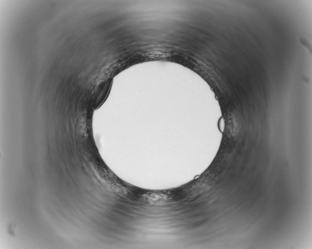 X0000099320512200805301218