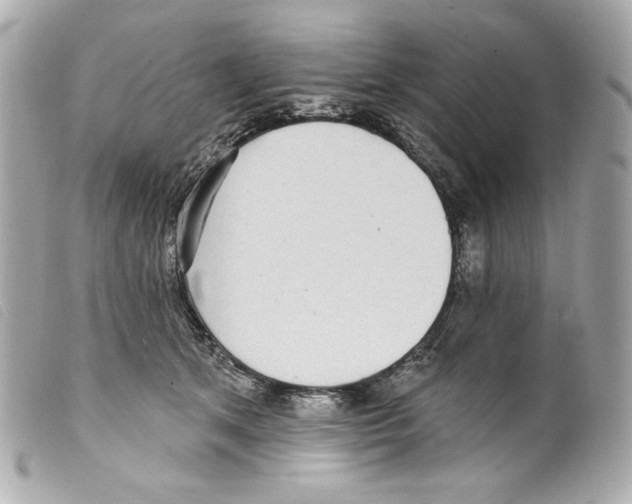 X0000099320513200805301218