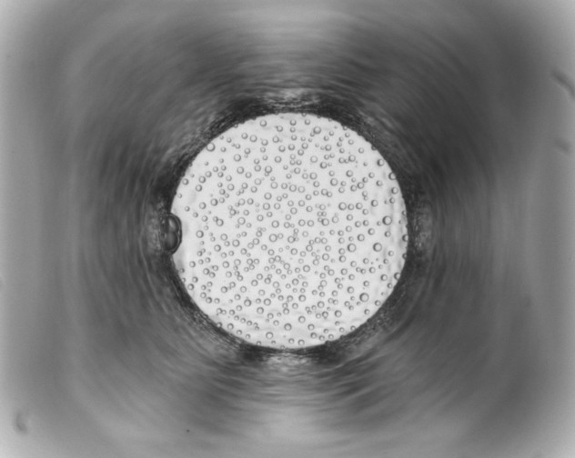 X0000099320515200805301218