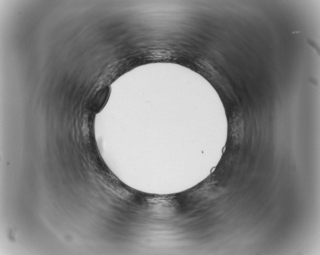 X0000099320516200805301218