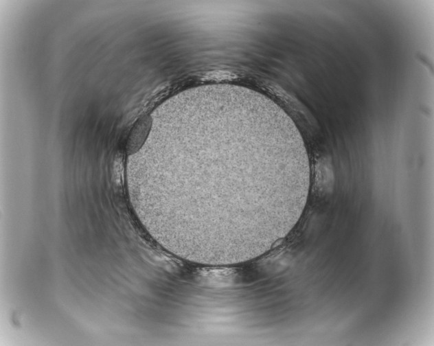 X0000099320517200805301218