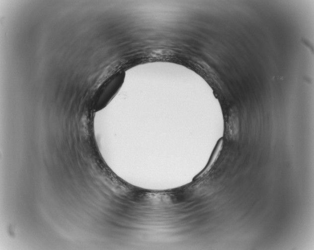 X0000099320520200805301218