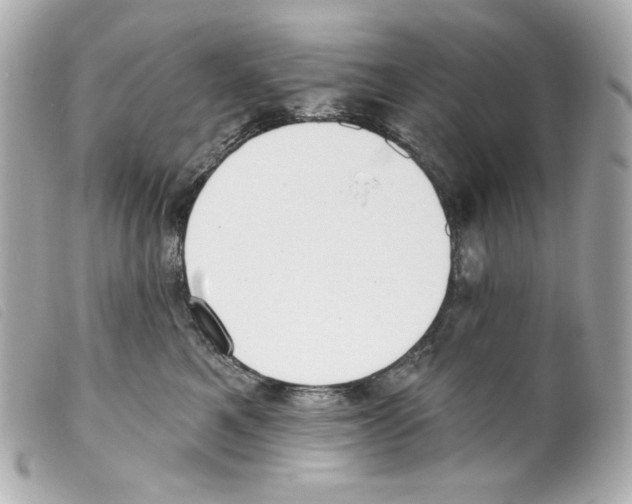 X0000099320521200805301218