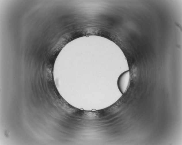 X0000099320522200805301218