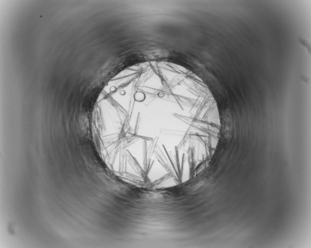 X0000099320523200805301218