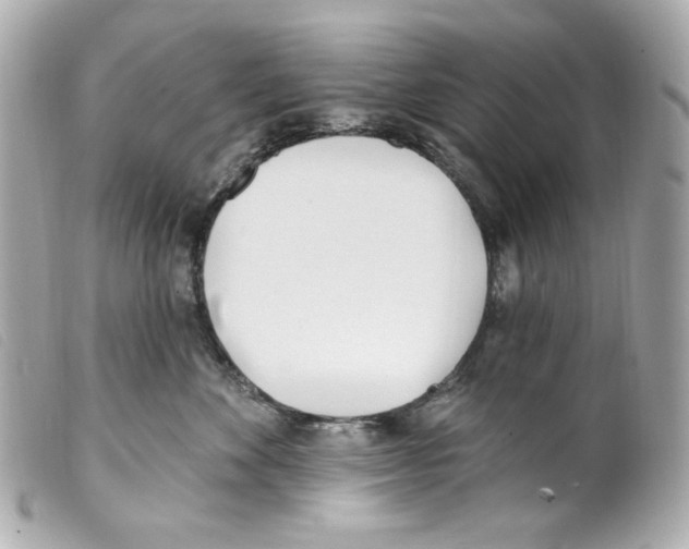 X0000099320524200805301218
