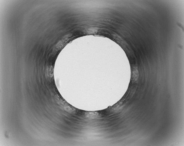 X0000099320525200805301218