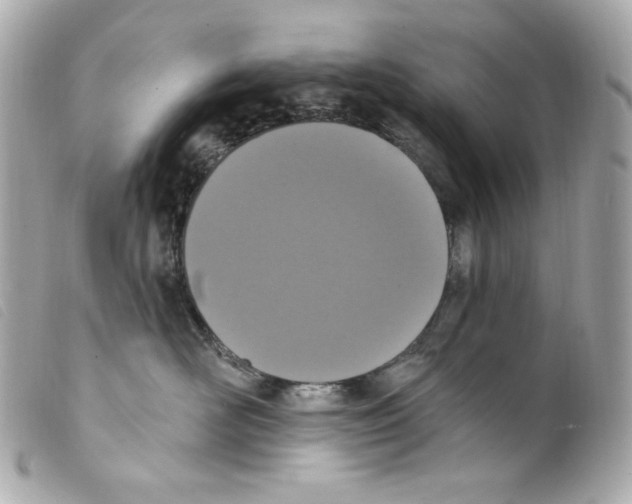 X0000099320526200805301218