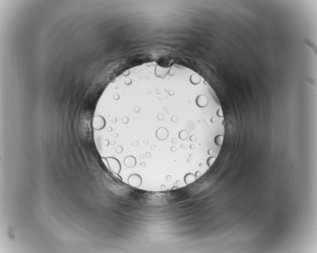 X0000099320527200805301218