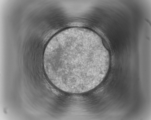 X0000099320529200805301218