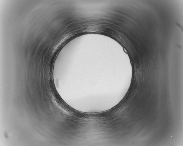 X0000099320530200805301218