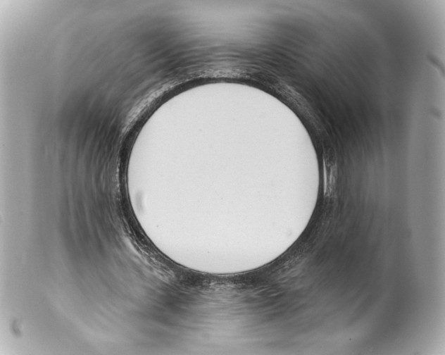 X0000099320531200805301218