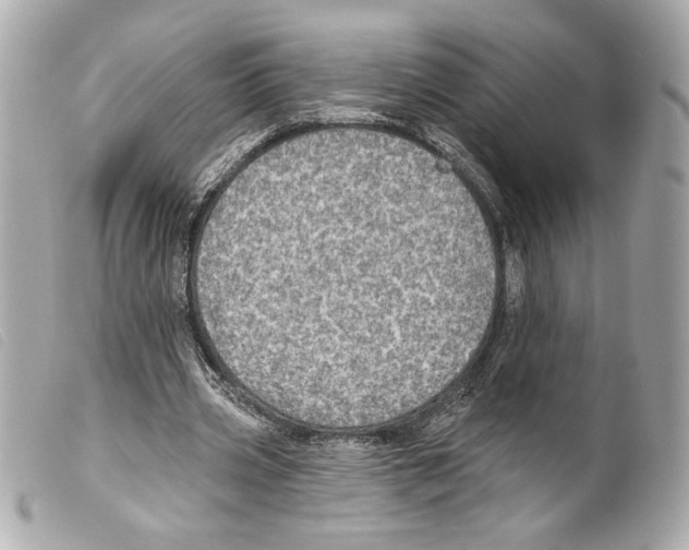 X0000099320533200805301218