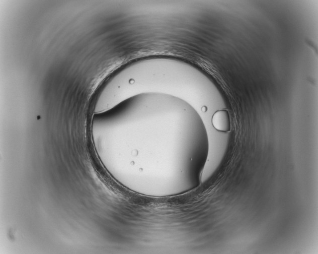 X0000099320534200805301218