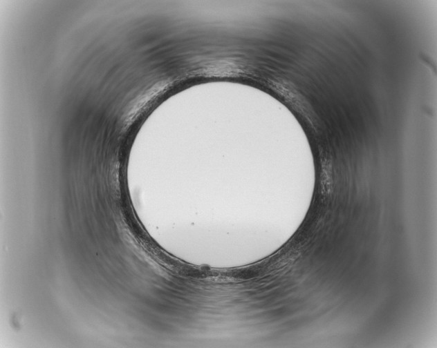 X0000099320535200805301218