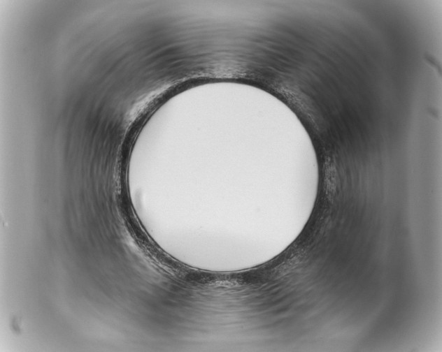 X0000099320536200805301218