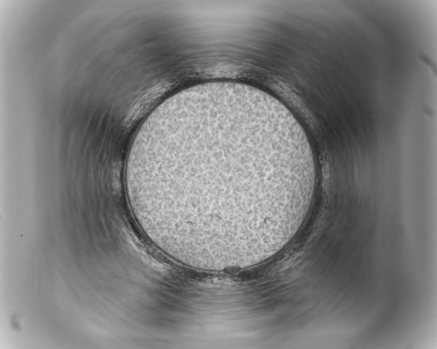 X0000099320537200805301218