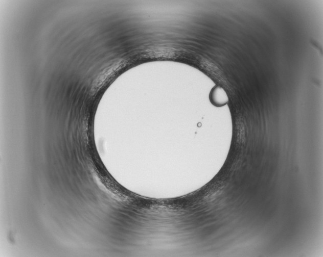 X0000099320538200805301218