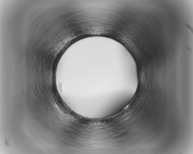 X0000099320540200805301218