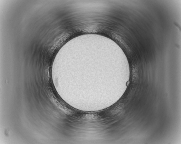 X0000099320541200805301218