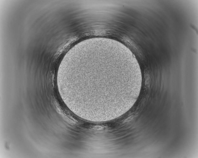 X0000099320542200805301218