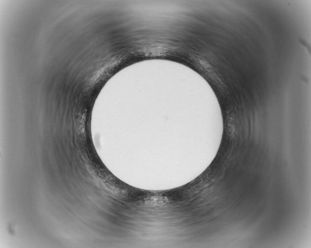 X0000099320543200805301218