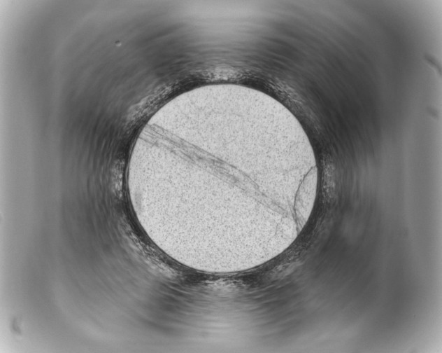 X0000099320545200805301218