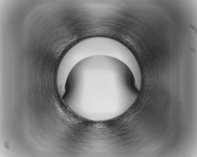 X0000099320546200805301218