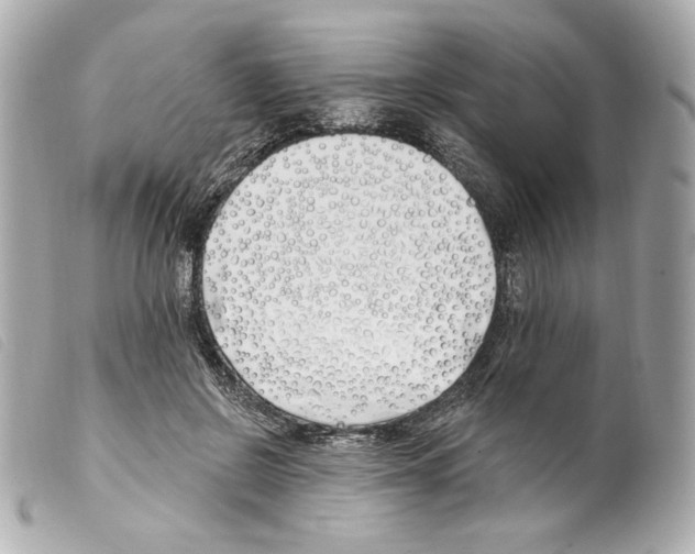 X0000099320550200805301218