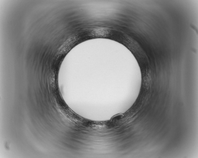 X0000099320552200805301218