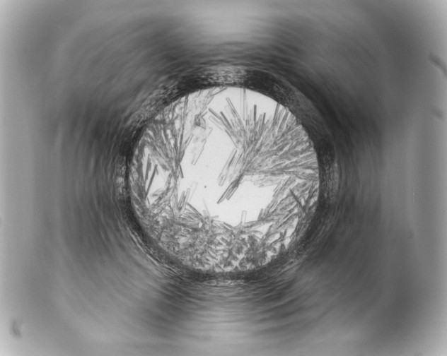 X0000099320553200805301218