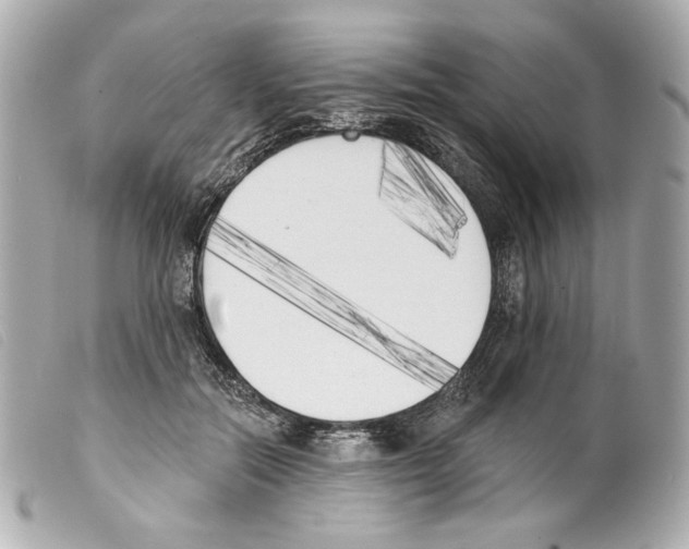 X0000099320554200805301218