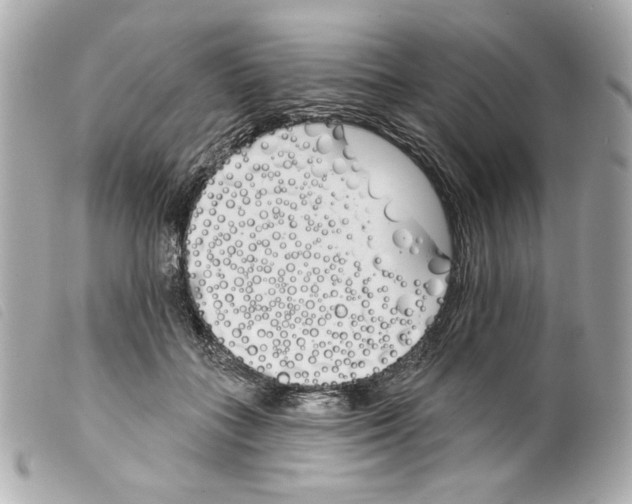 X0000099320555200805301218