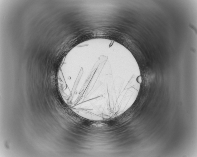 X0000099320557200805301218