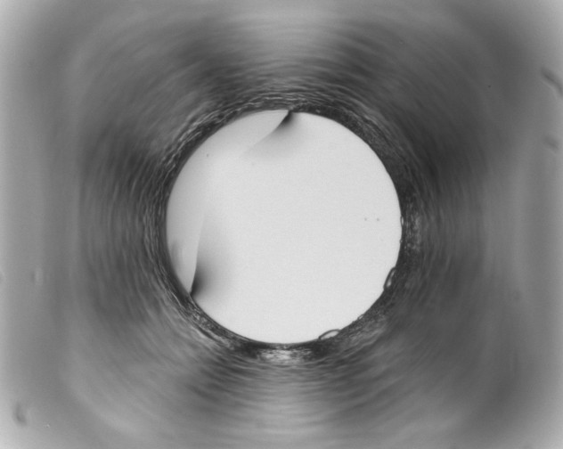 X0000099320558200805301218