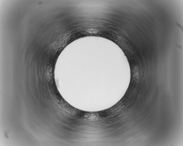 X0000099320559200805301218