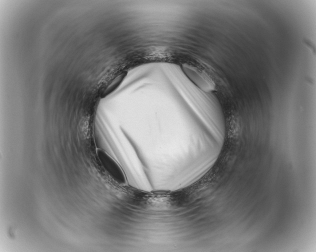 X0000099320560200805301218