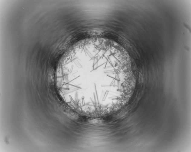 X0000099320561200805301218