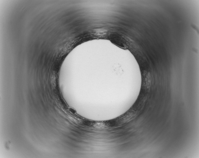 X0000099320562200805301218