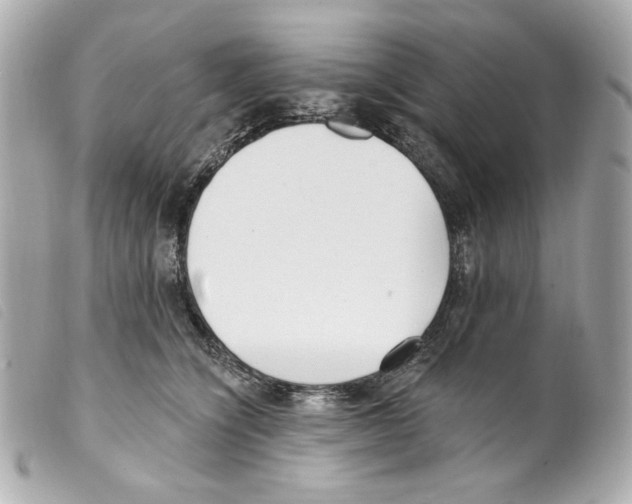 X0000099320564200805301218